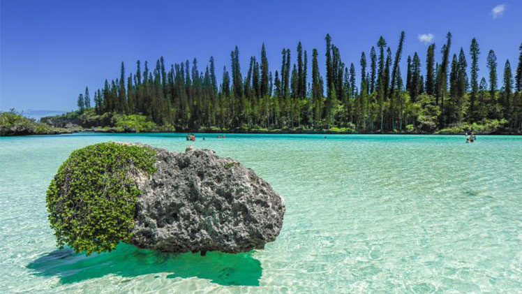 Catamaran Charter new-caledonia