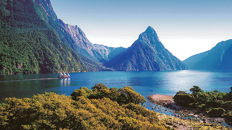 Catamaran Charter new-zealand
