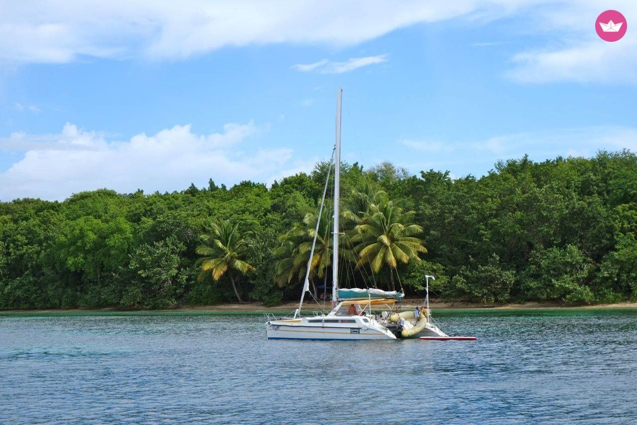 Catamaran Edel Strat Edel Cat 35 Open 10.06m. Charter in Guadeloupe