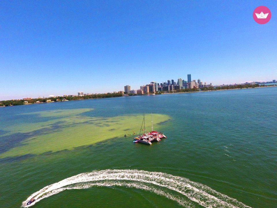 50' Catamaran up to 49 people Charter in United States