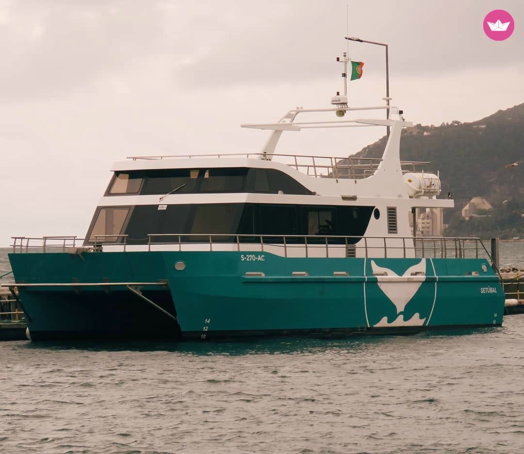 Electric Catamaran Charter in Portugal