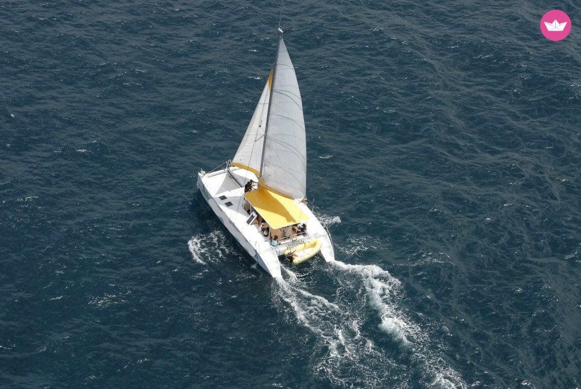 Catamaran Punch 1500 14.9m. rental Le Robert